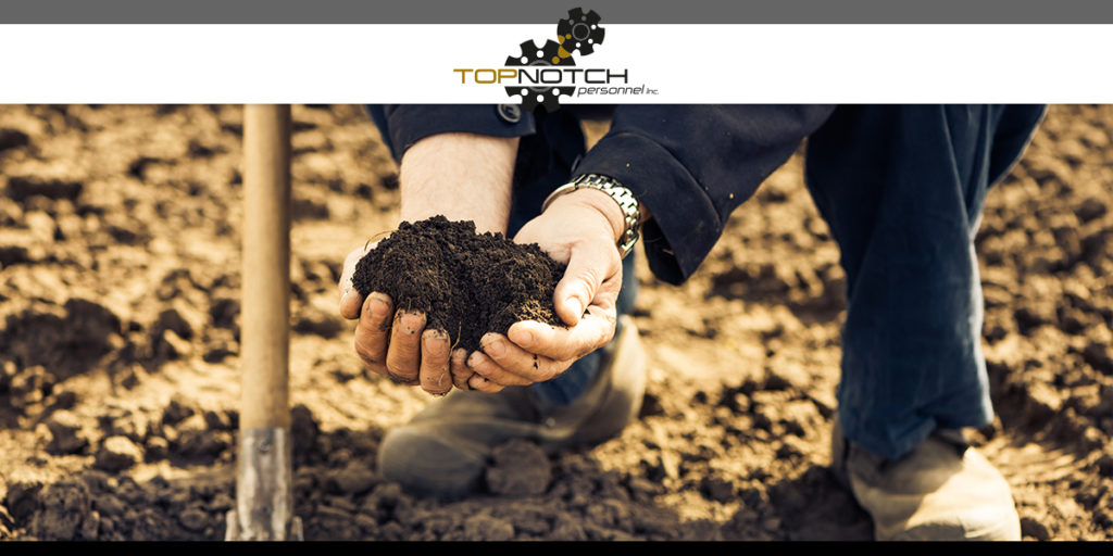 4 Things to Remember When Hiring Seasonal Workers This Summer